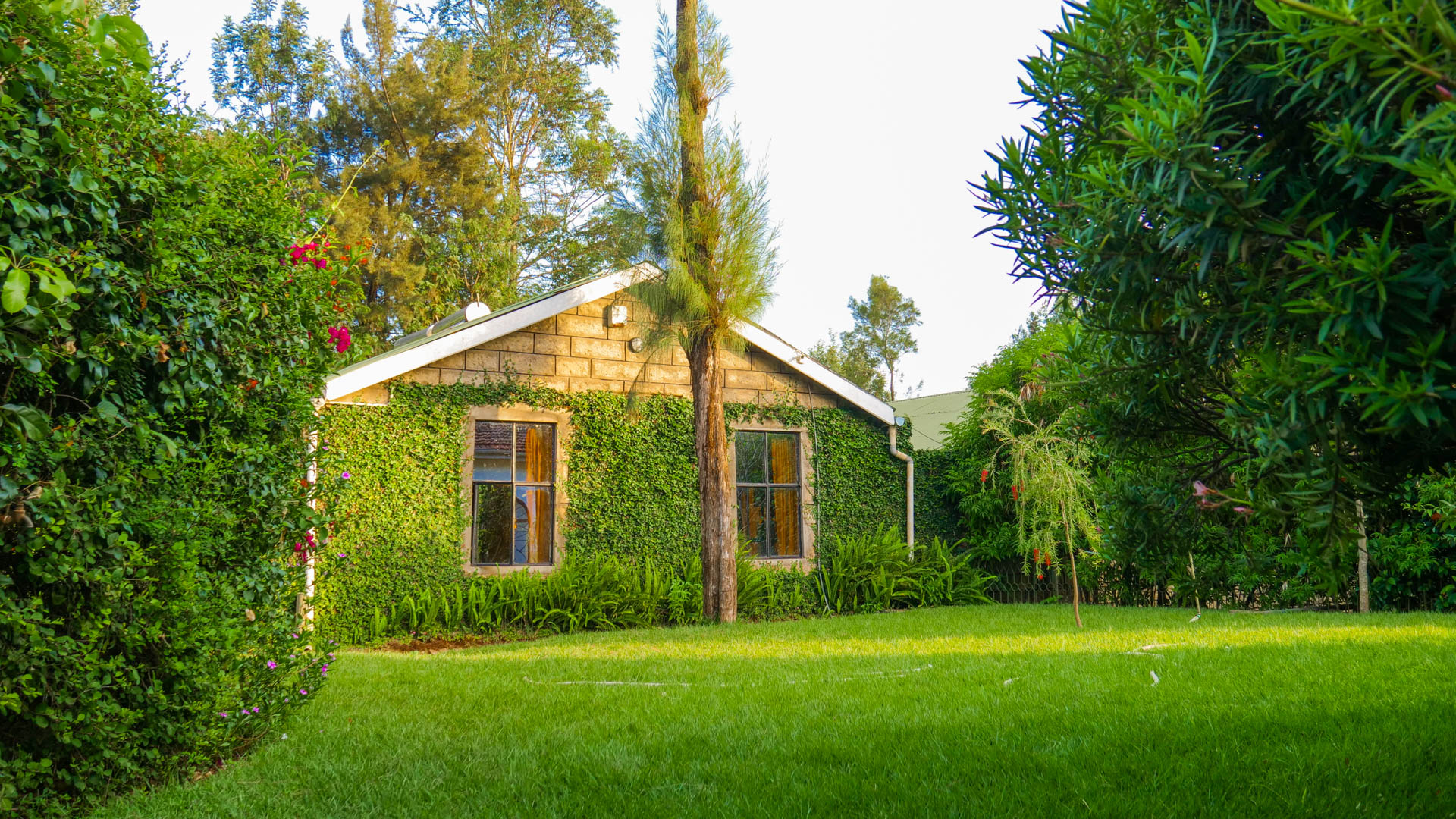 Meru Hills 🏡 Hideaway estate at the foot of Mount Kenya ⛰️